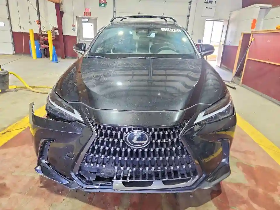 2T2ADCAZ5RC009847 2024 LEXUS NX-4