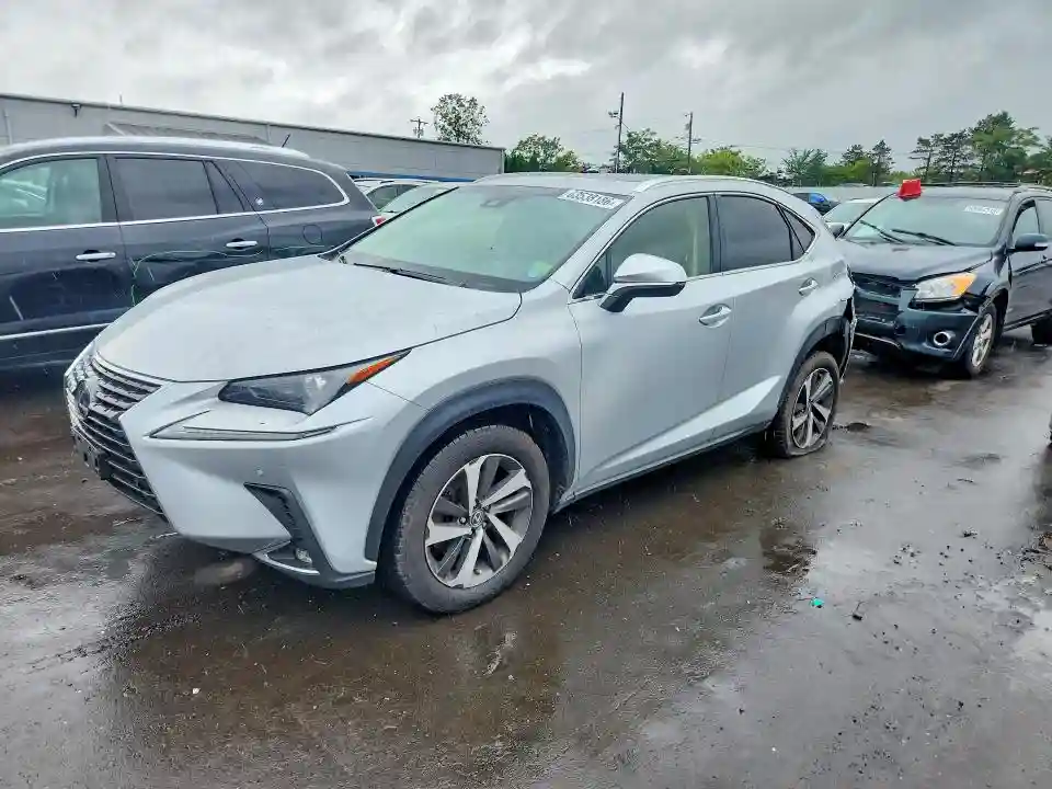 JTJBARBZ4K2204603 2019 LEXUS NX-0