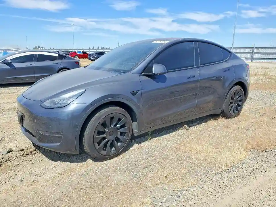 5YJYGDEF7LF002420 2020 TESLA MODEL Y-0