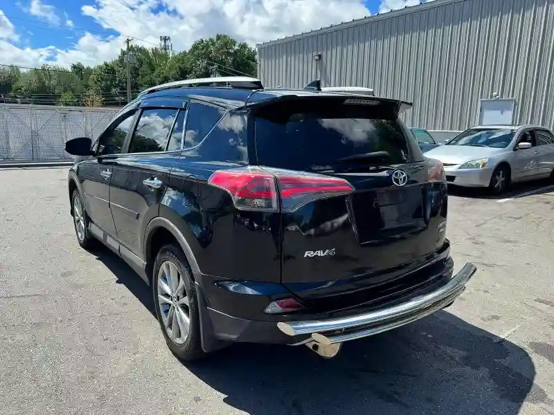 2T3DFREV9JW798889 2018 TOYOTA RAV4-1