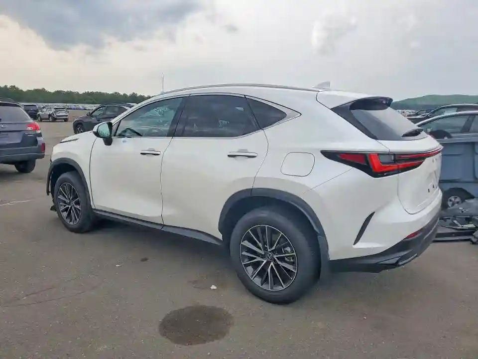 JTJGKCEZ6R2036002 2024 LEXUS NX-1