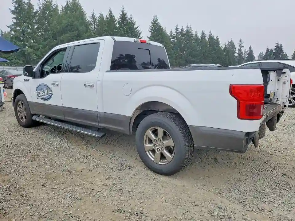 1FTEW1CP7KKC04451 2019 FORD F150-1
