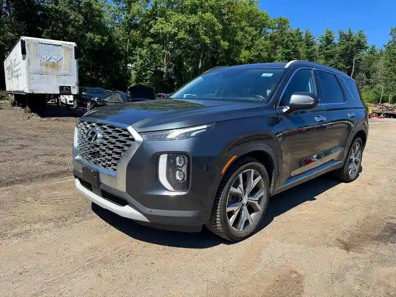 KM8R4DHE0LU066415 2020 HYUNDAI PALISADE-1