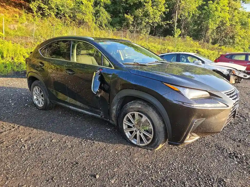 JTJDARDZ8L2235747 2020 LEXUS NX-3