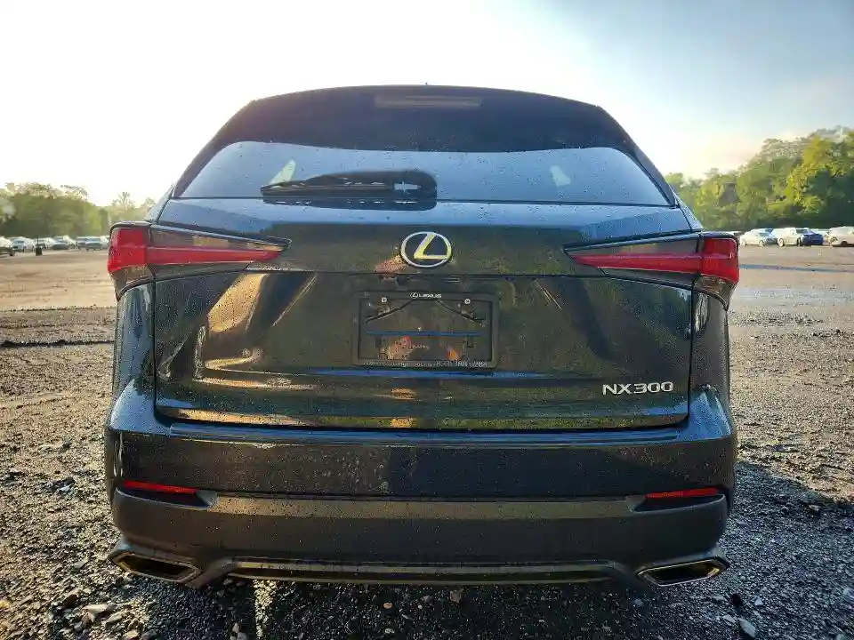 JTJDARDZ8L2235747 2020 LEXUS NX-5