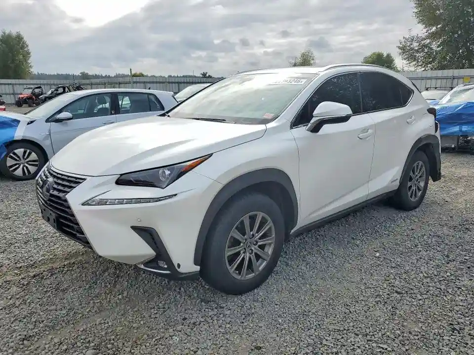 JTJBJRBZ6K2109606 2019 LEXUS NX-0