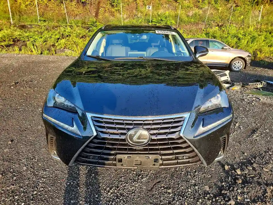 JTJDARDZ8L2235747 2020 LEXUS NX-4