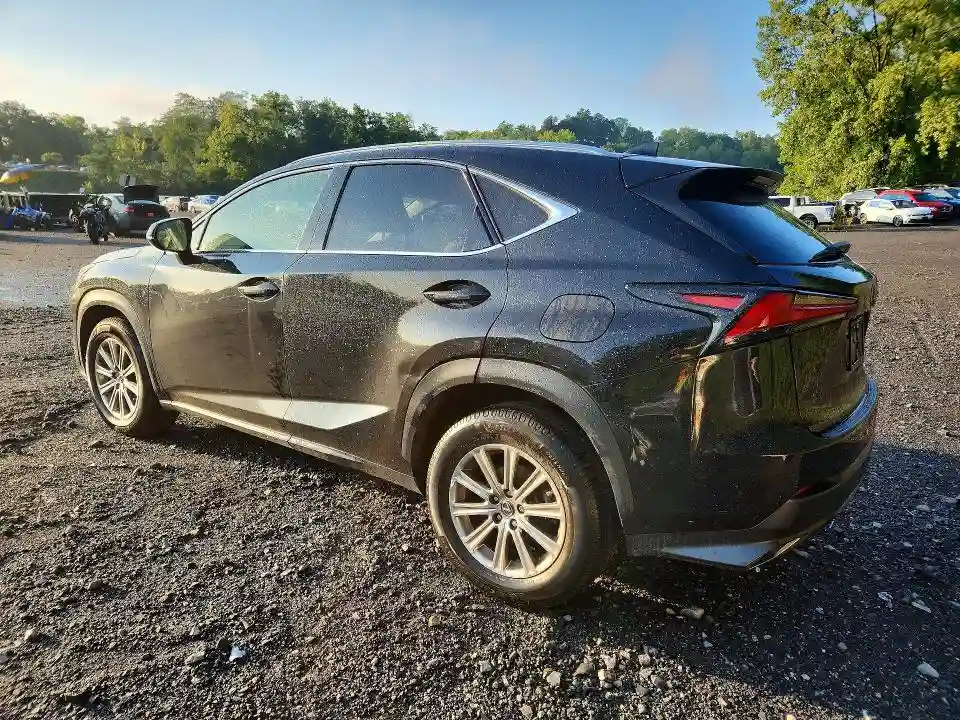 JTJDARDZ8L2235747 2020 LEXUS NX-1