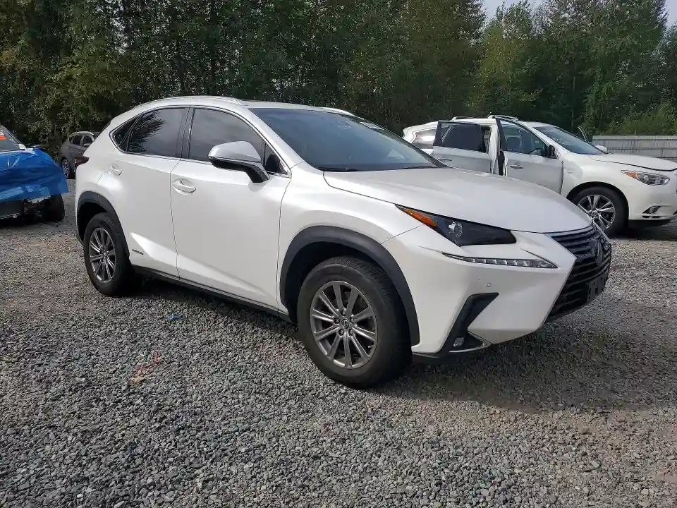 JTJBJRBZ6K2109606 2019 LEXUS NX-3