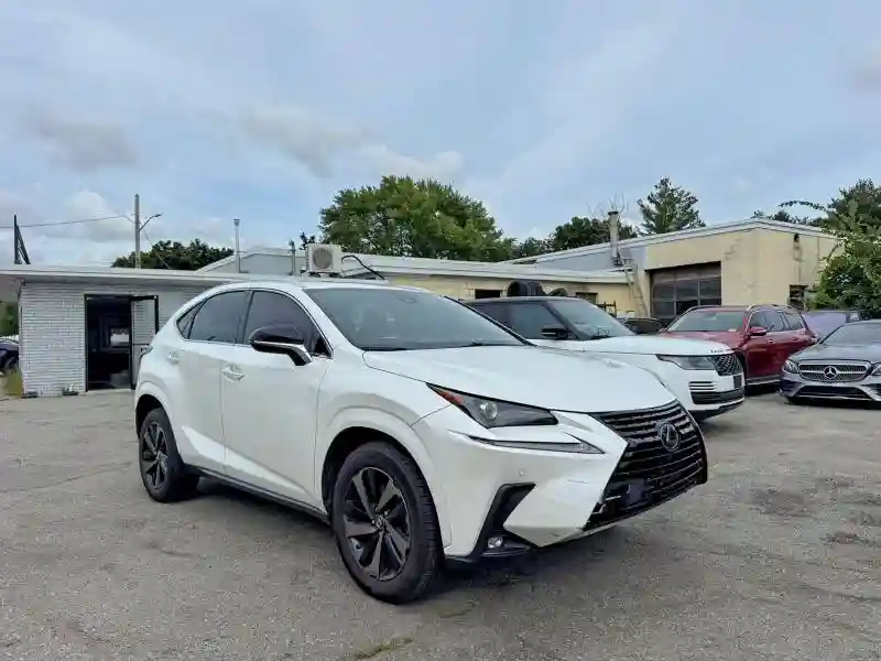 2020 LEXUS NX