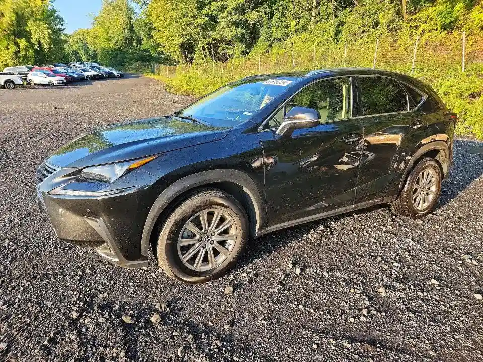 JTJDARDZ8L2235747 2020 LEXUS NX-0