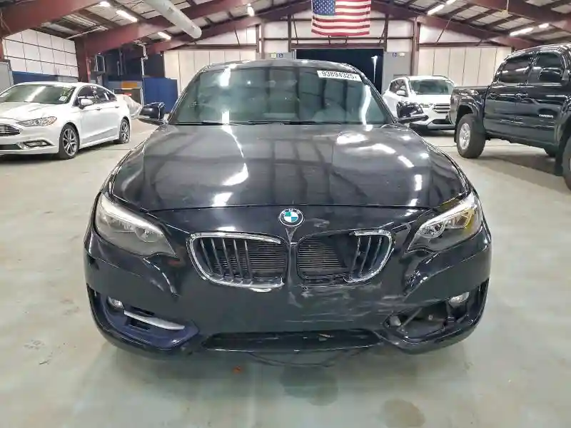 WBA1G9C51GV599786 2016 BMW 2 SERIES-4