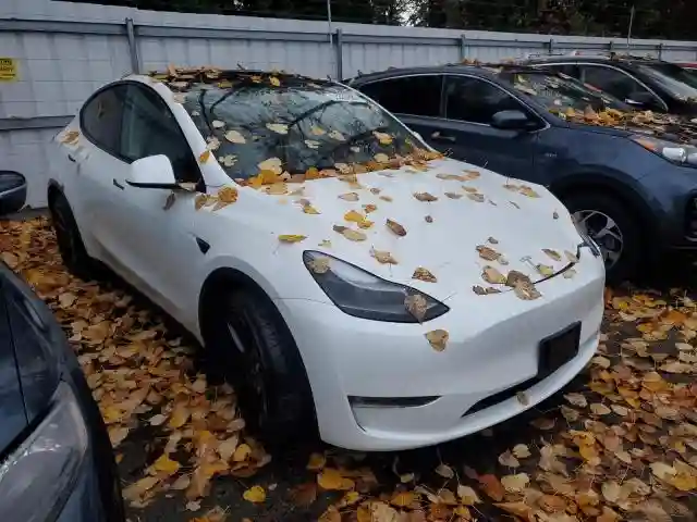 7SAYGAEE7RF157373 2024 TESLA MODEL Y-5
