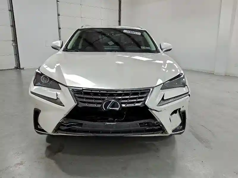 JTJGJRDZ1L2139391 2020 LEXUS NX-4