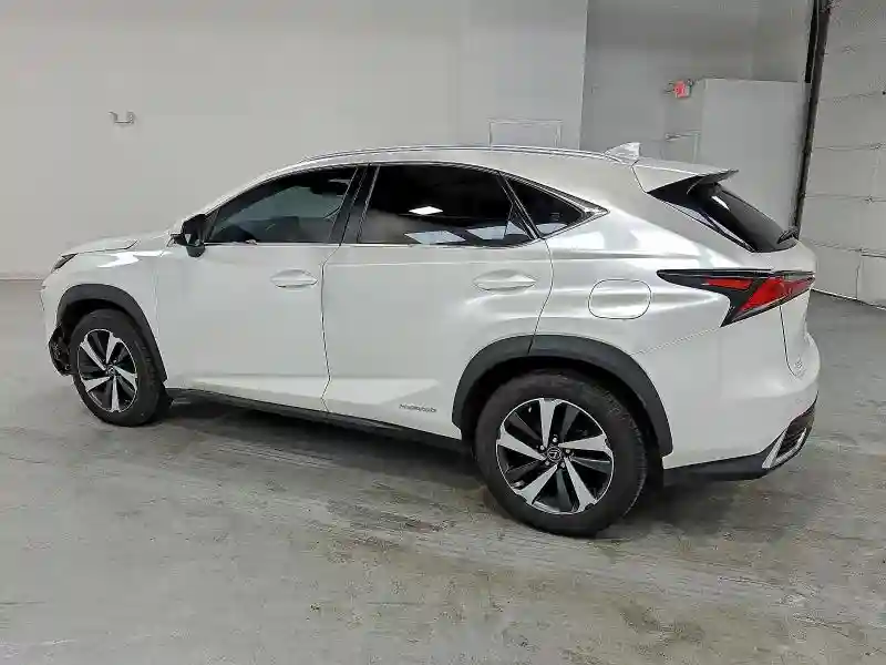 JTJGJRDZ1L2139391 2020 LEXUS NX-1