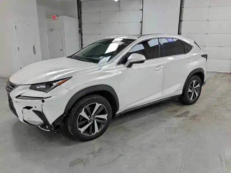 JTJGJRDZ1L2139391 2020 LEXUS NX-0